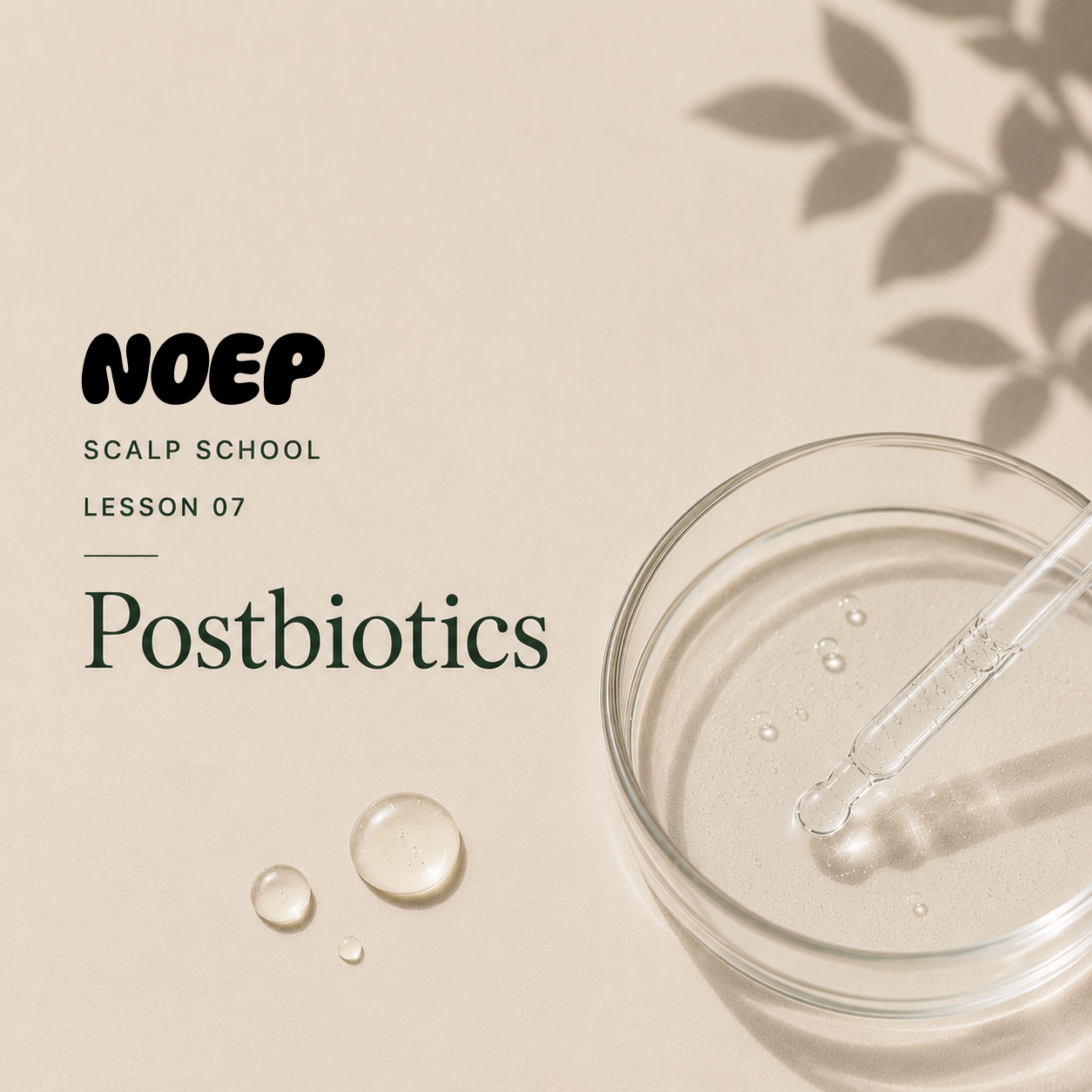 What Are Postbiotics?