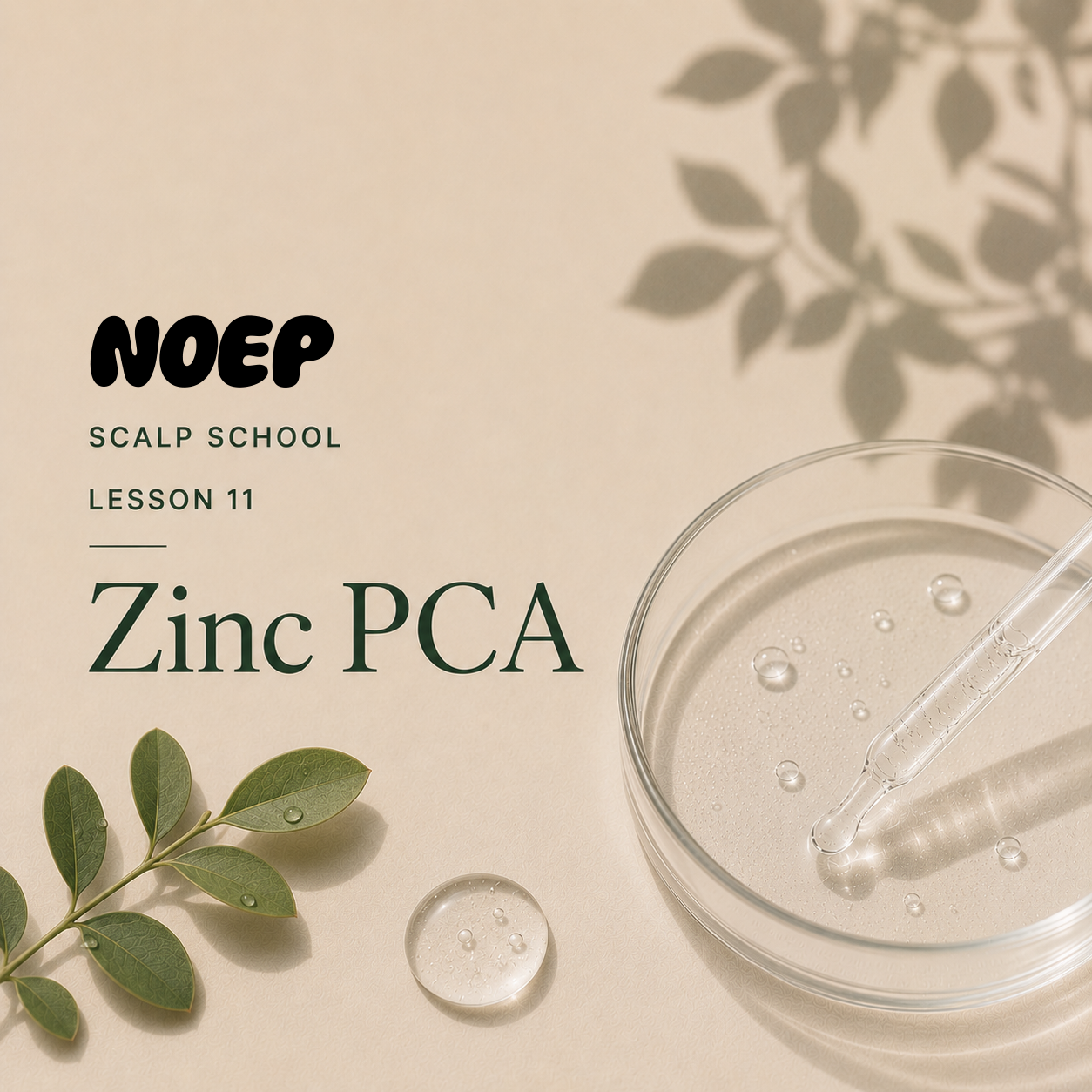 Why Zinc PCA Is a Favorite for Oily Scalps